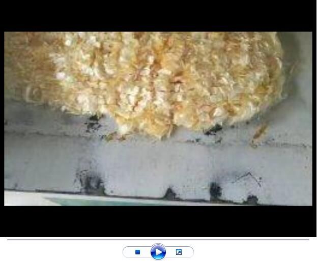 點(diǎn)擊查看詳細(xì)信息<br>標(biāo)題：聚丙烯腈纖維生產(chǎn)中【視頻】 閱讀次數(shù)：2890