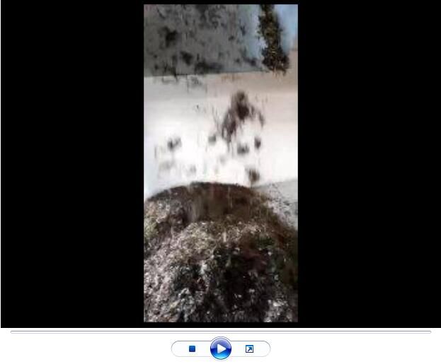 點(diǎn)擊查看詳細(xì)信息<br>標(biāo)題：玄武巖纖維生產(chǎn)中【視頻】 閱讀次數(shù)：2799